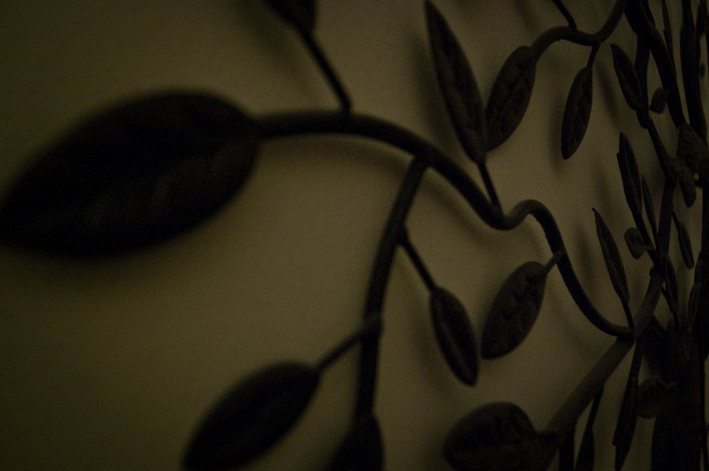 13-FEB-2013: This iron wall hanging in the apartment often creates interesting shadows.