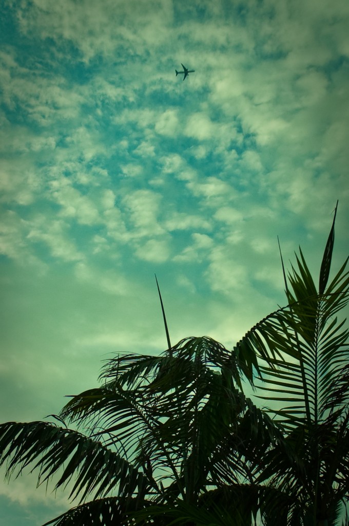 24-FEB-2013: The green tint on this poolside sky shot reminds me of the look of an old "Miami Vice" episode.