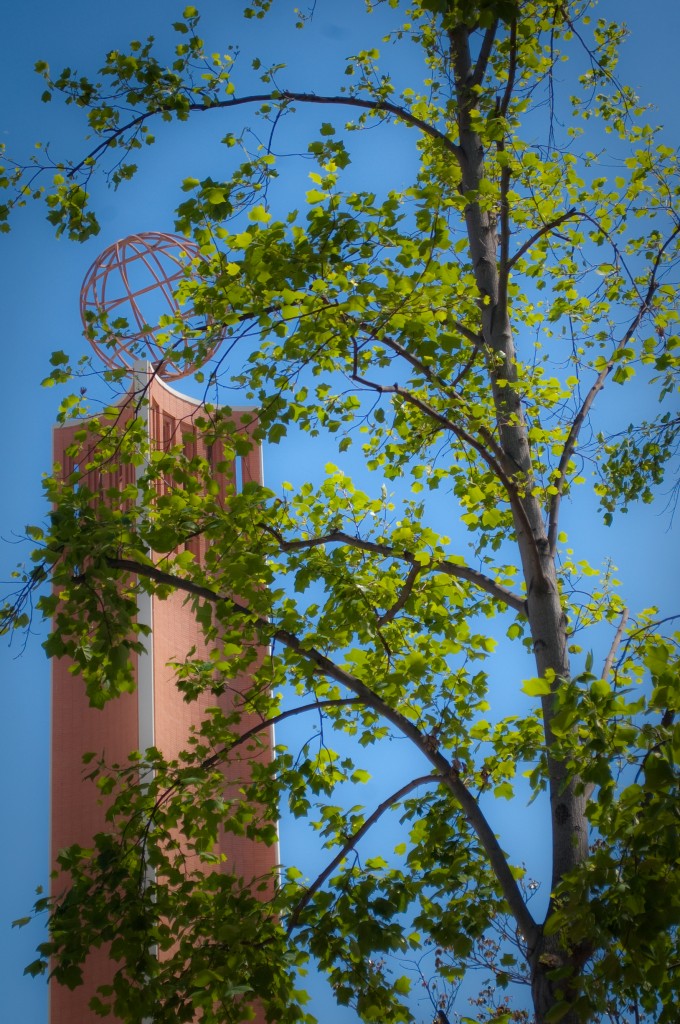 2-MAY-2013: A tree springing to life near the VonKleinSmid Center at USC on a sunny Thursday.
