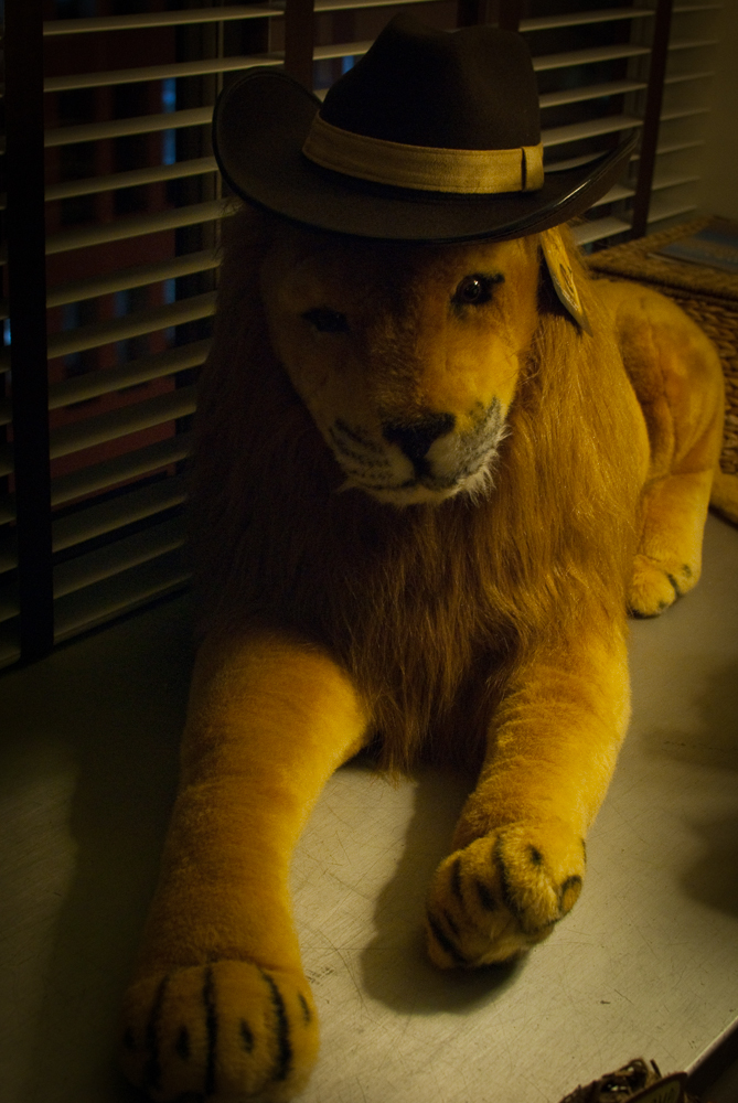 18-NOV-2013: He's been dubbed "Uncle Lion" around the house and he's looking rather dapper here.