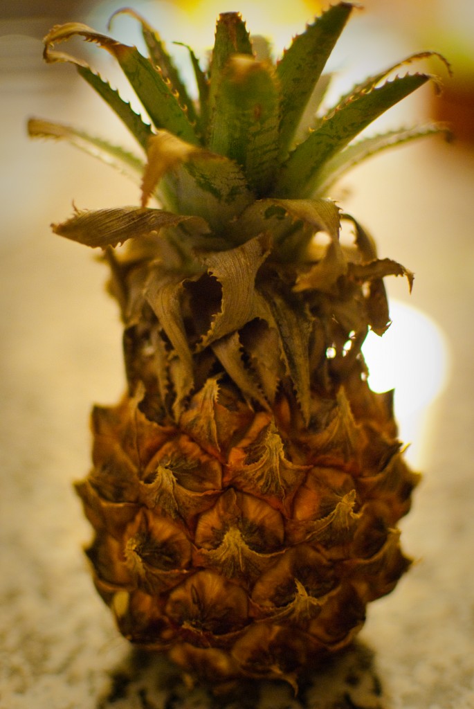 12-JUL-2013: Case study of a mini-pineapple.