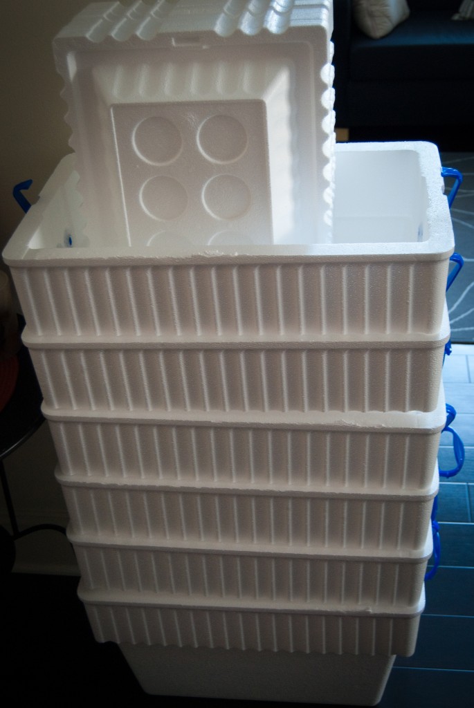 5-SEP-2013: The sure sign of the arrival of football season — a recently purchased stack of foam coolers for USC tailgates.