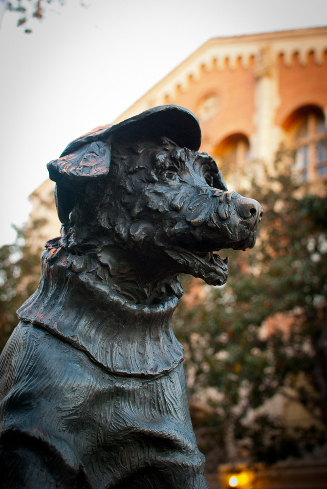 4-DEC-2013: The George Tirebiter statue on the USC campus.